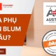 Mua phụ kiện Blum ở đâu