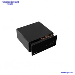 KÉT SẮT ÂM TỦ HIGOLD 703296